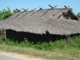 DSCN5455.JPG