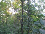 IMG_2210.JPG