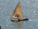 IMG_2502.JPG