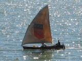 IMG_2503.JPG