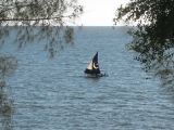 IMG_2507.JPG