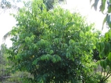 20150323_006.JPG