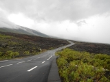 20150309_007.JPG